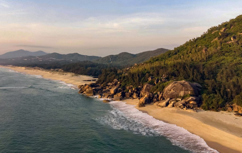Beach from Above