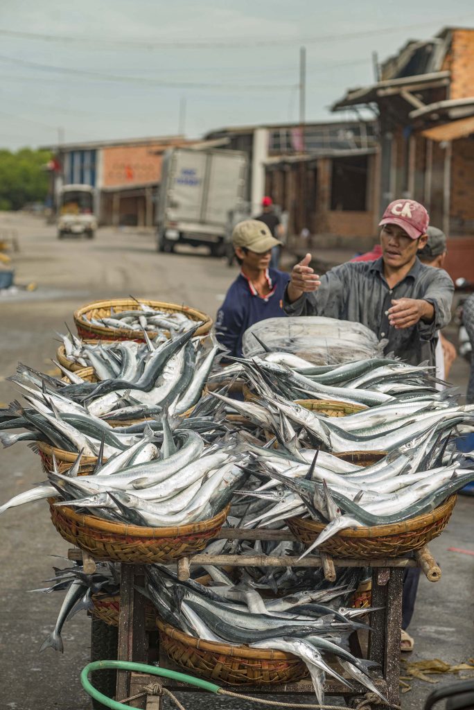 Fish for Sale