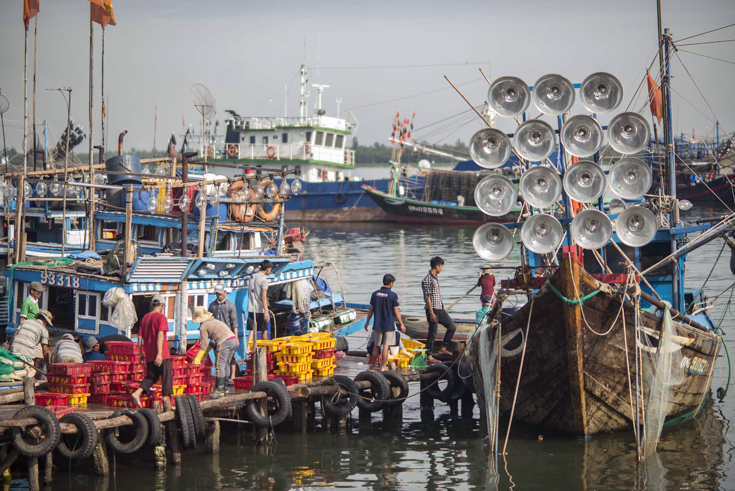 Squidboats
