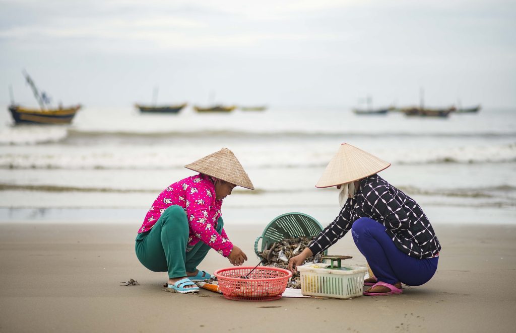 Sorting the Catch