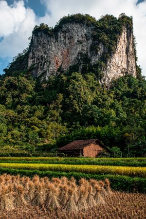 Cao Bang Homestead