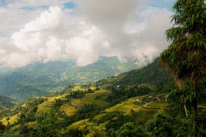 Hoang Su Phi Morning Light