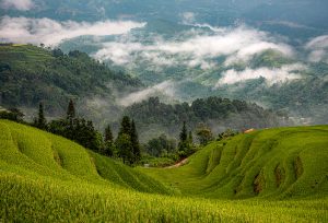 Hoang Su Phi Rice Alley