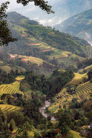 Hoang Su Phi river and valley