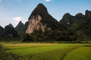 Phong Nam afternoon light