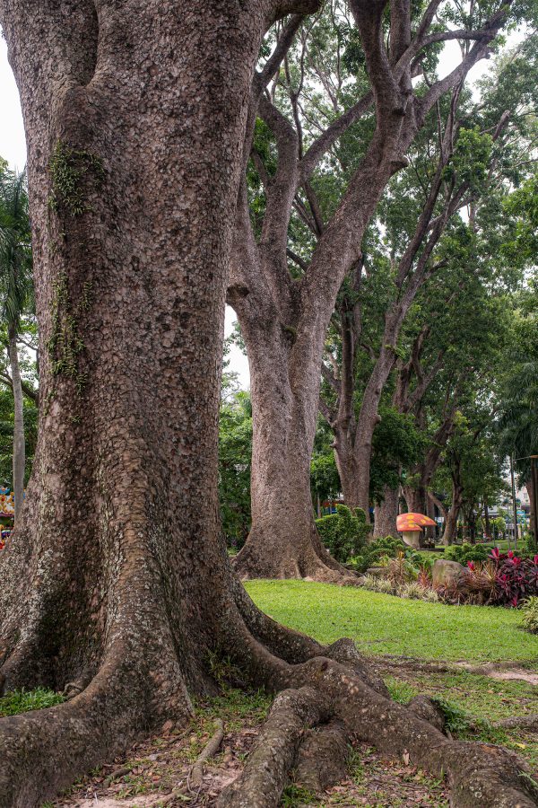 Saigon Zoo Park