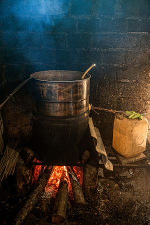 Sapa still rice wine