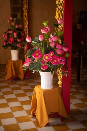 Ta Cu flowers